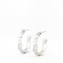 Load image into Gallery viewer, Écailles hoops