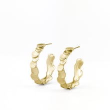 Charger l'image dans la galerie, Hoops Écailles