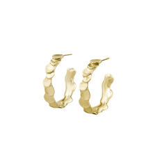 Load image into Gallery viewer, Écailles hoops