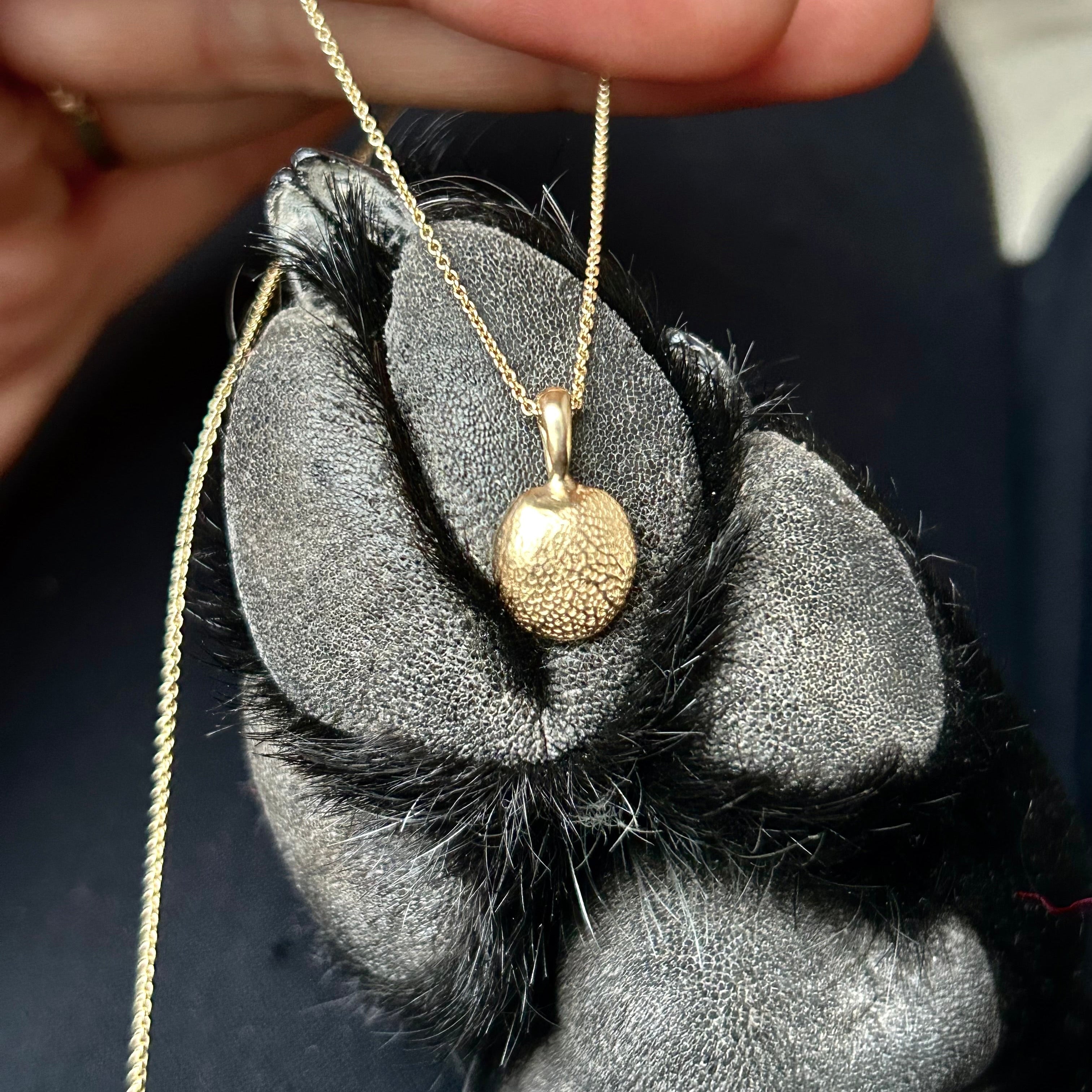 Impression kit | Gold