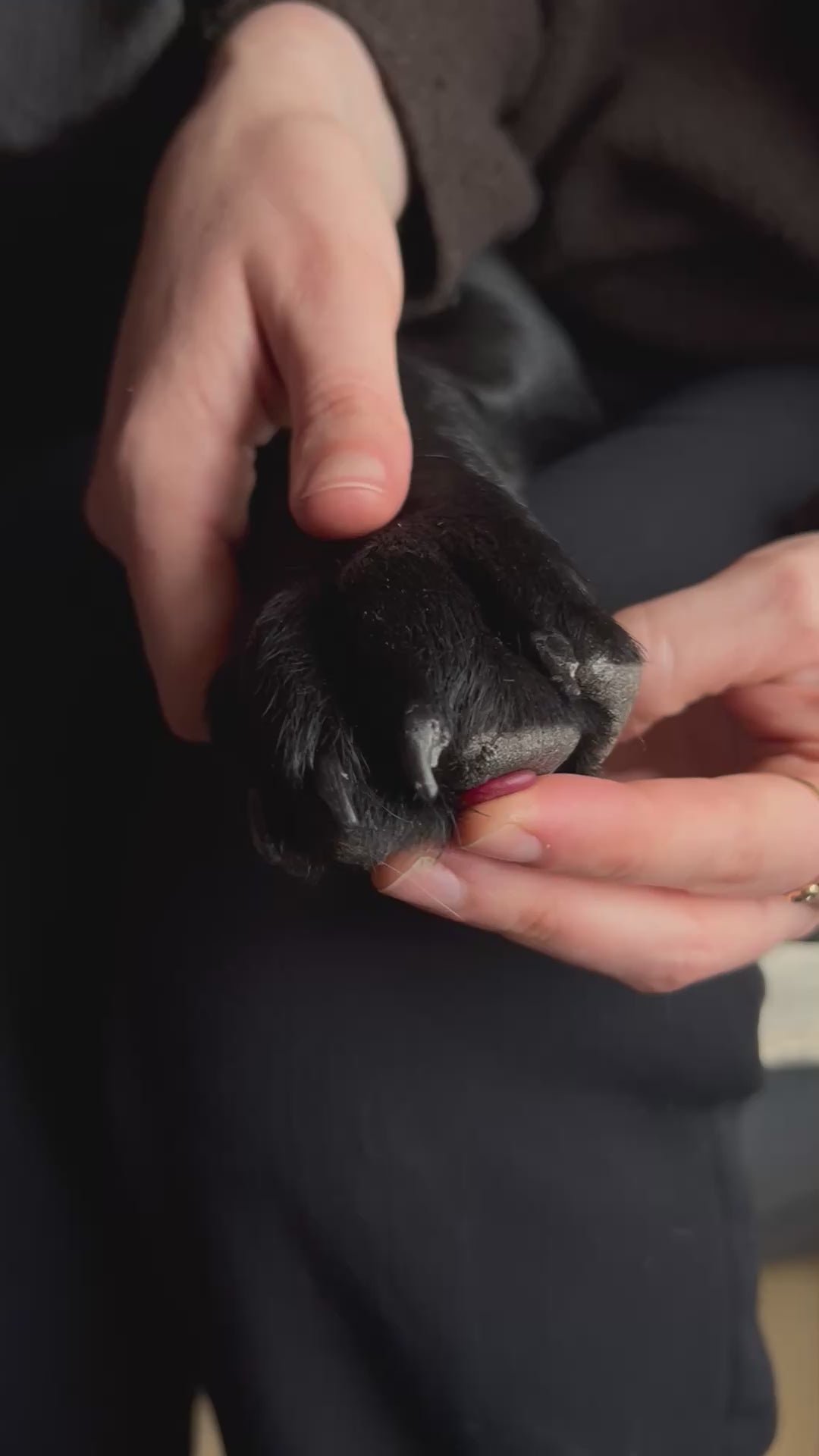 Impression kit | Gold